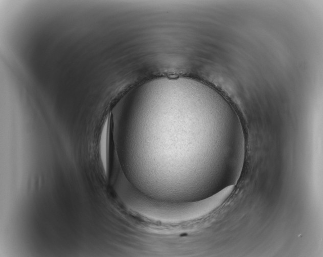 X0000093420017200710191015