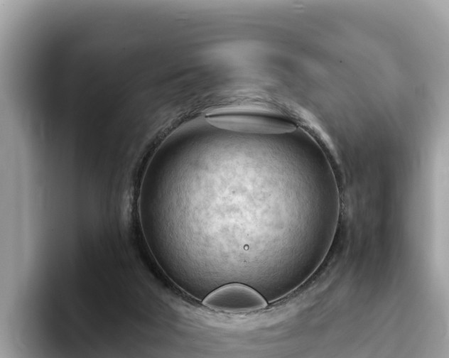 X0000093420018200710191015