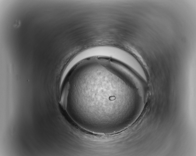 X0000093420019200710191015