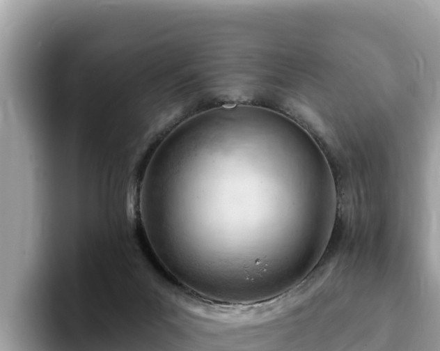 X0000093420023200710191015