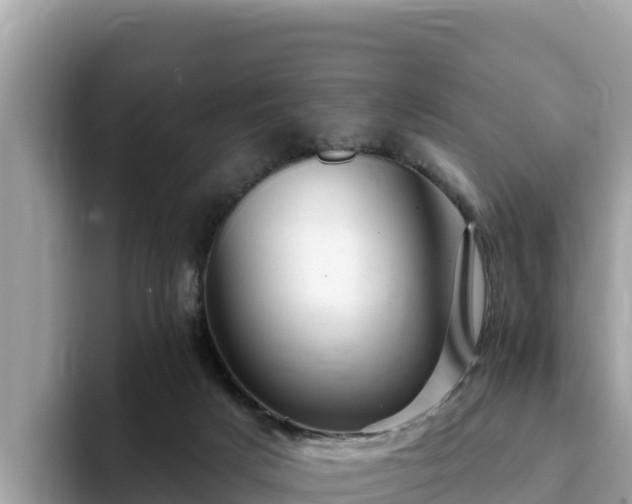 X0000093420025200710191015