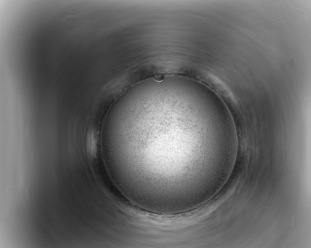 X0000093420026200710191015