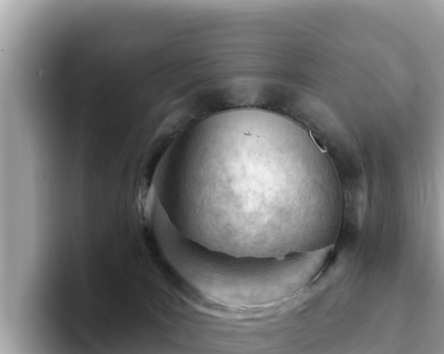 X0000093420035200710191014