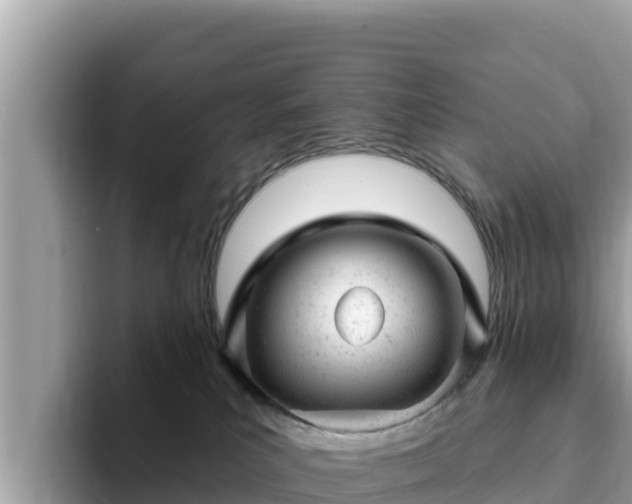 X0000093420039200710191014