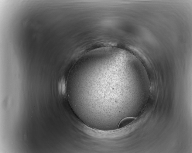 X0000093420046200710191014