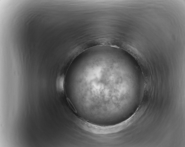 X0000093420047200710191014