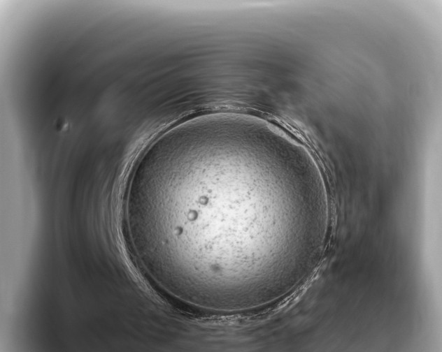 X0000093420049200710191014