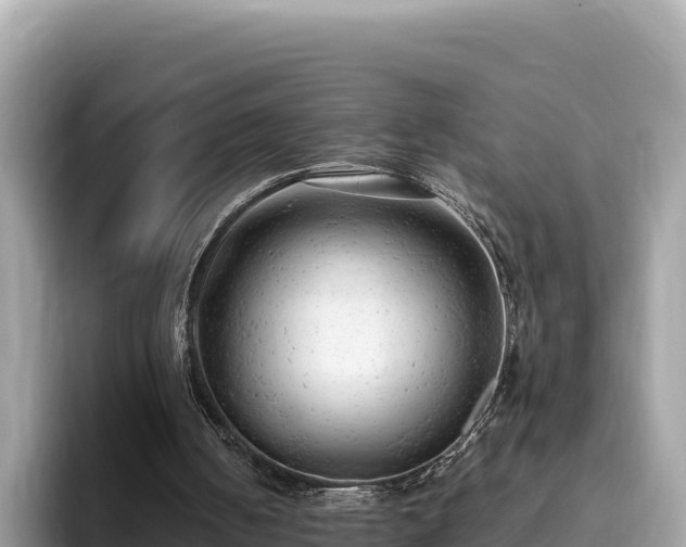 X0000093420050200710191014