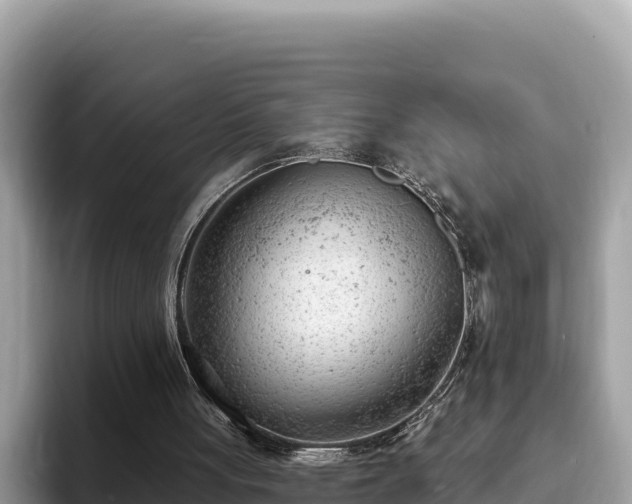 X0000093420051200710191014