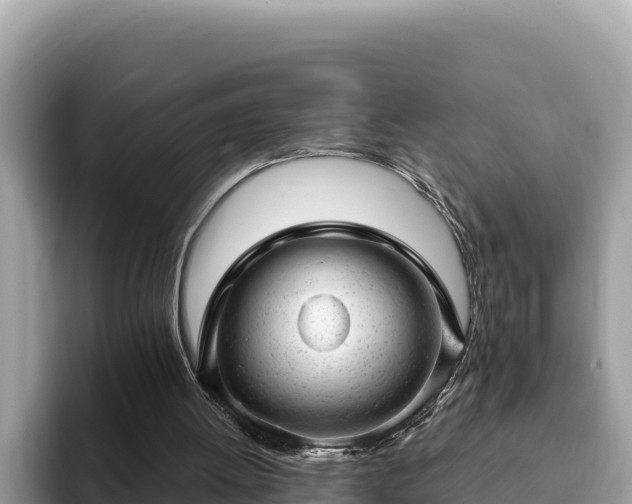 X0000093420052200710191014