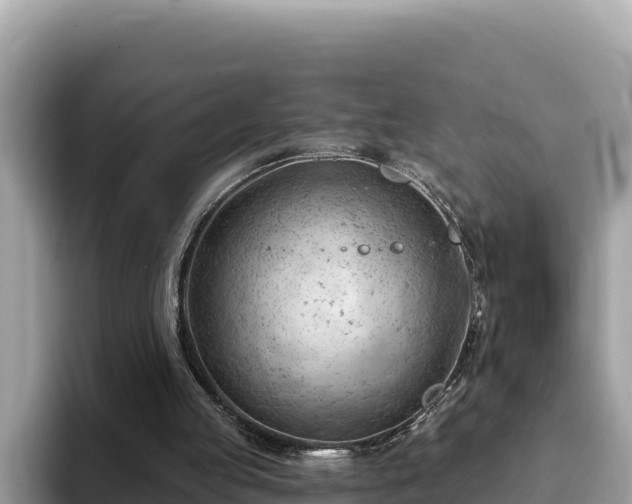 X0000093420053200710191014