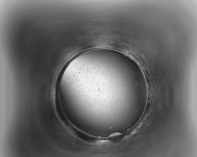 X0000093420055200710191014