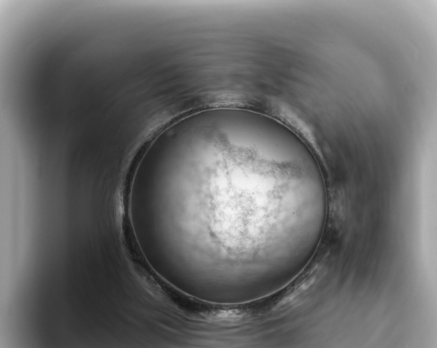 X0000093420059200710191014