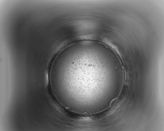 X0000093420061200710191014