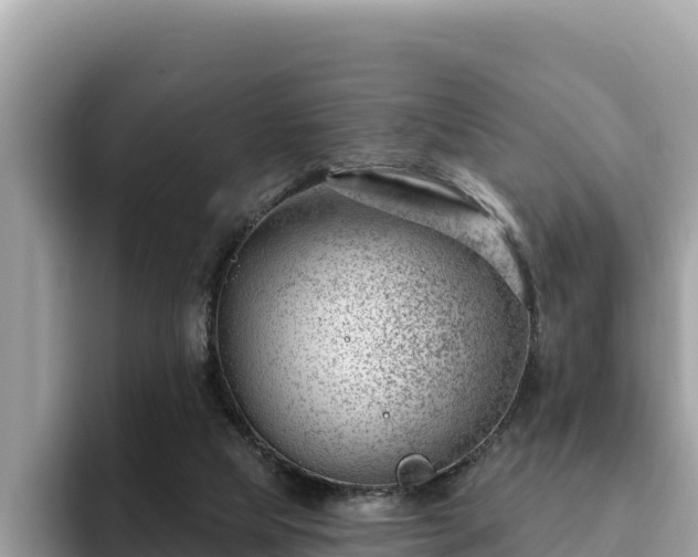 X0000093420065200710191014