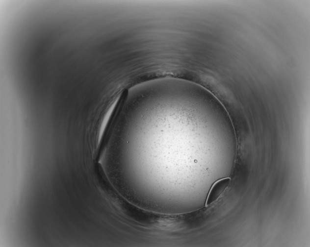 X0000093420070200710191014