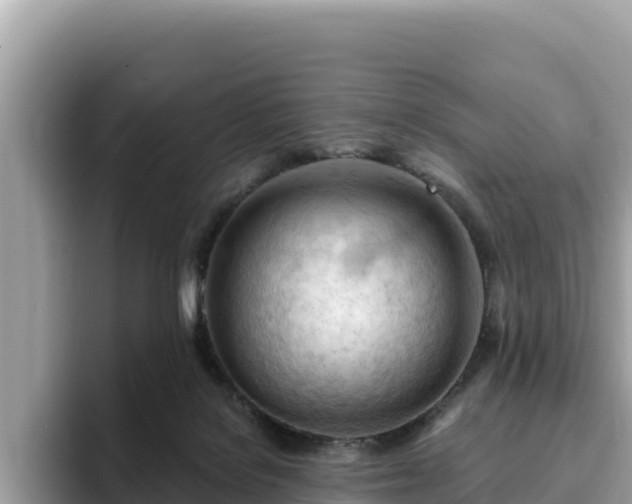 X0000093420076200710191014