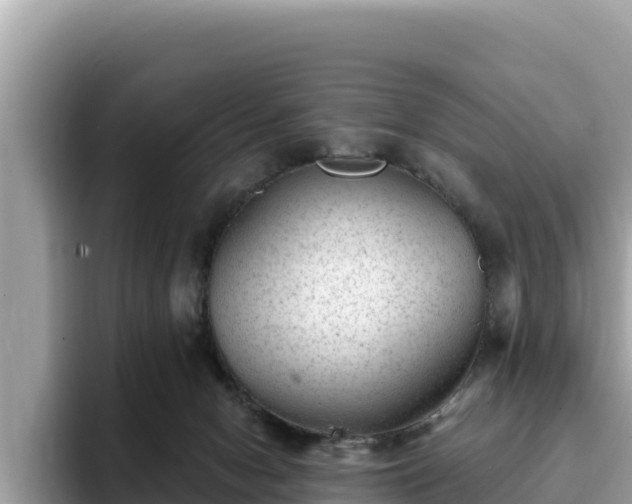 X0000093420078200710191014