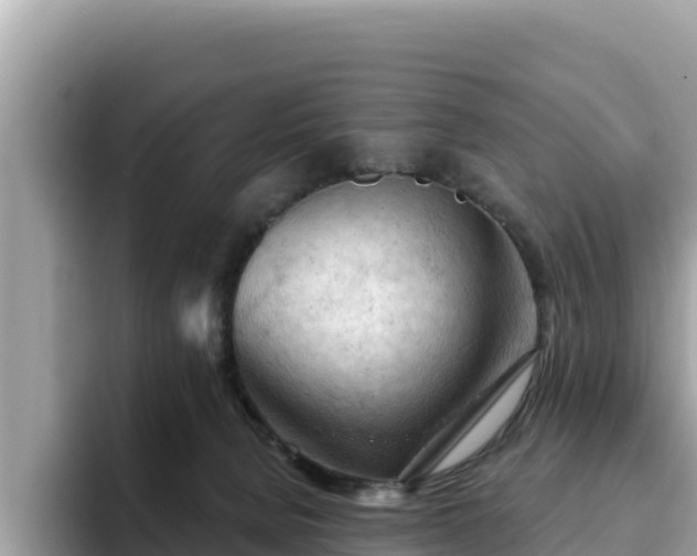 X0000093420080200710191014