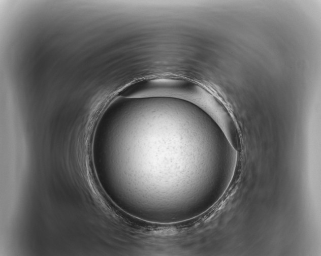 X0000093420097200710191013