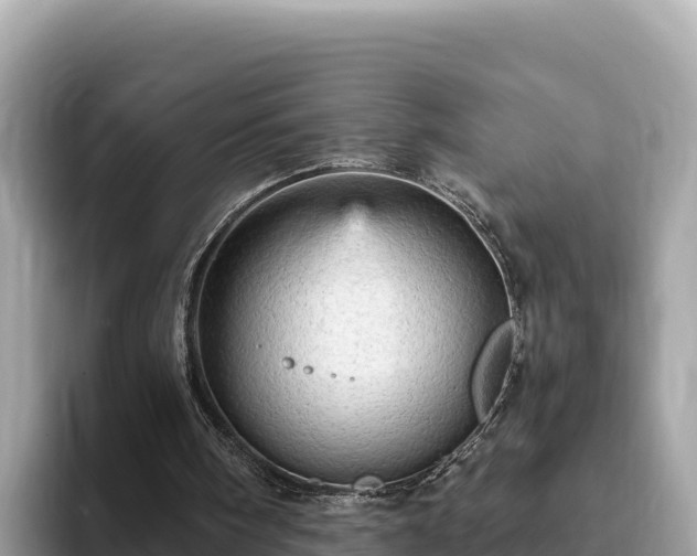 X0000093420098200710191013