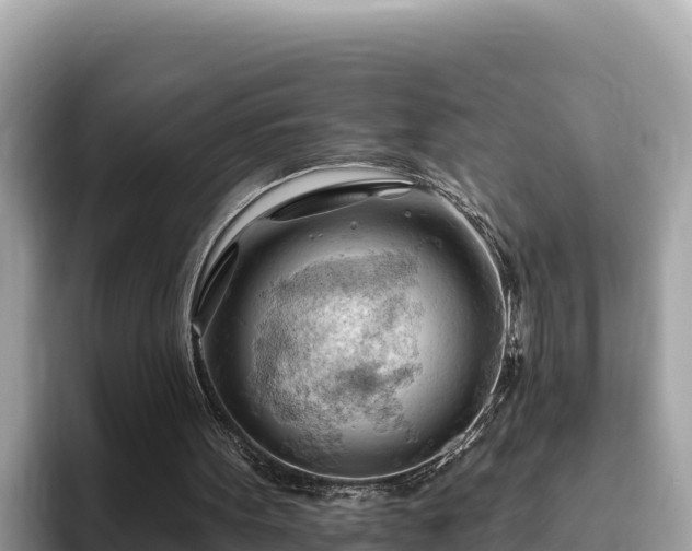 X0000093420099200710191013