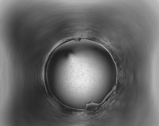 X0000093420100200710191013