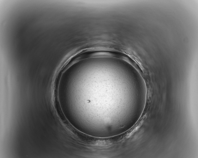 X0000093420101200710191013