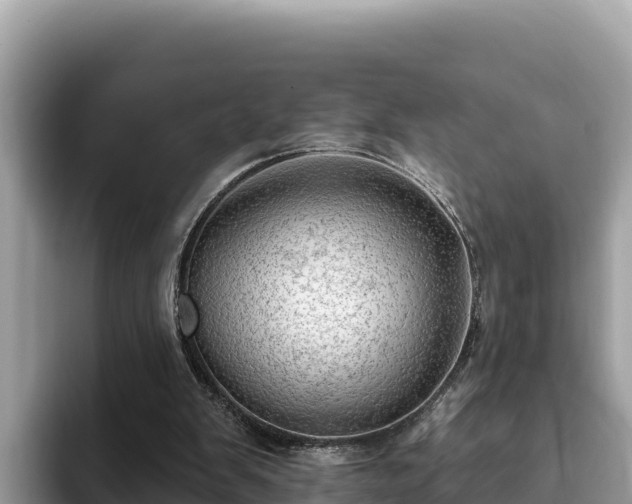 X0000093420103200710191013