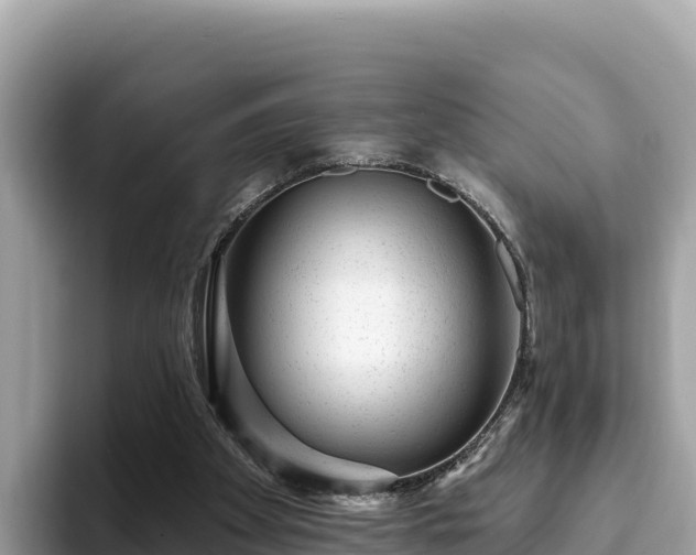 X0000093420105200710191013