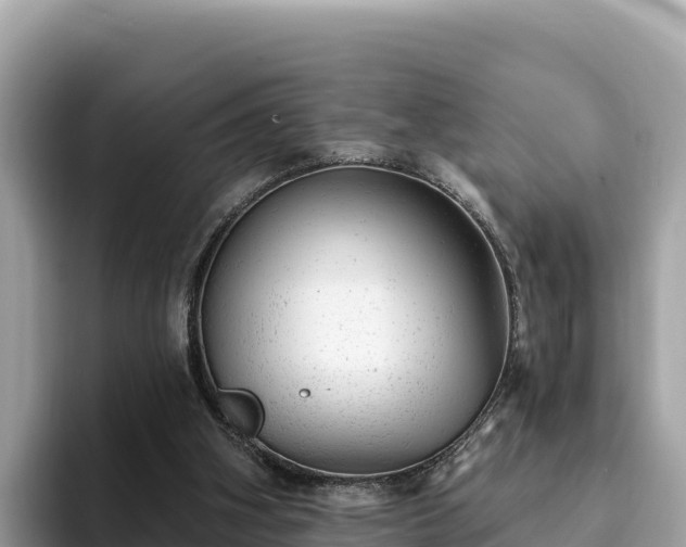 X0000093420106200710191013