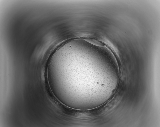 X0000093420107200710191013