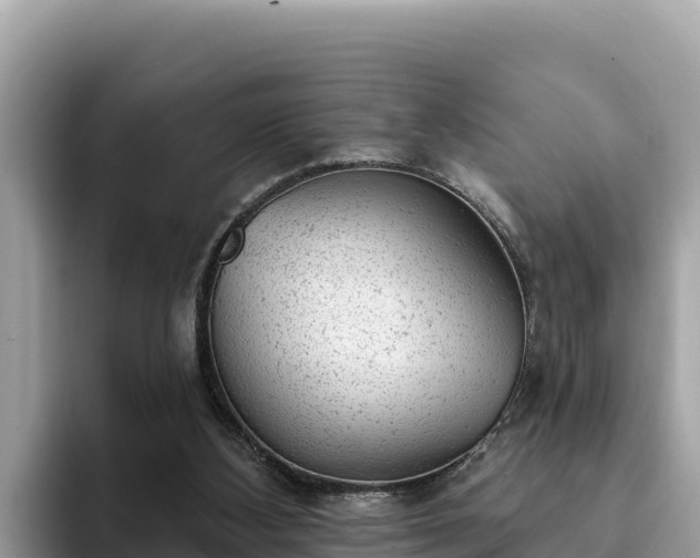 X0000093420108200710191013