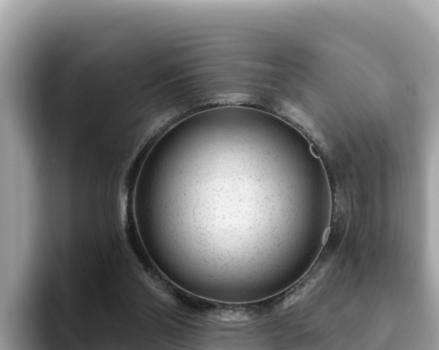 X0000093420110200710191013