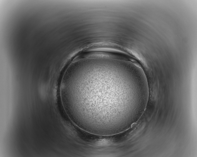 X0000093420111200710191013