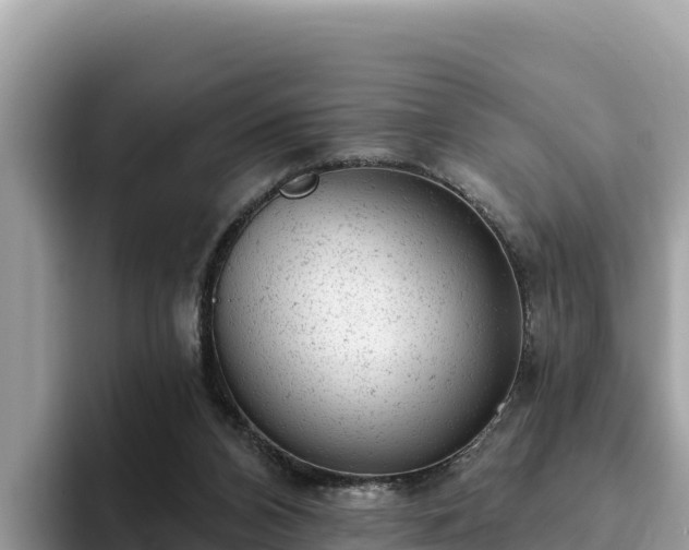 X0000093420112200710191013