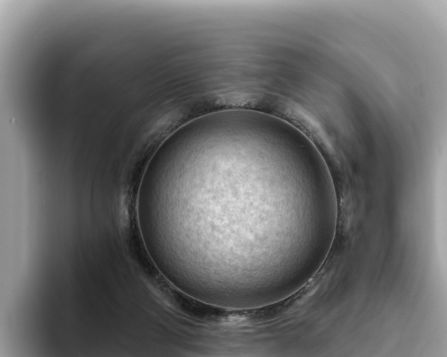 X0000093420114200710191013