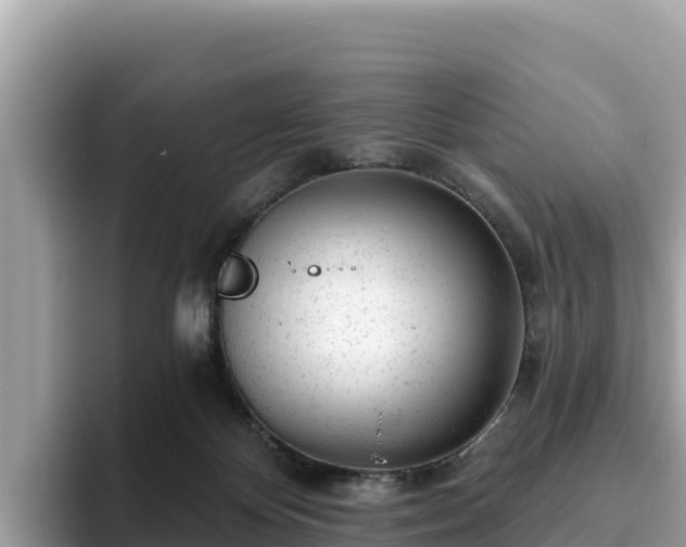 X0000093420124200710191013