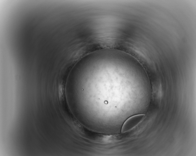 X0000093420130200710191013