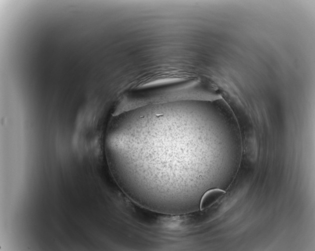 X0000093420131200710191013