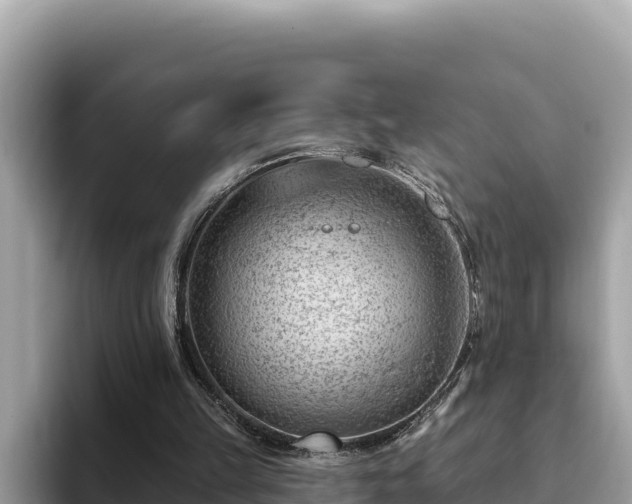 X0000093420149200710191012