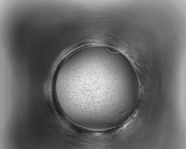 X0000093420151200710191012