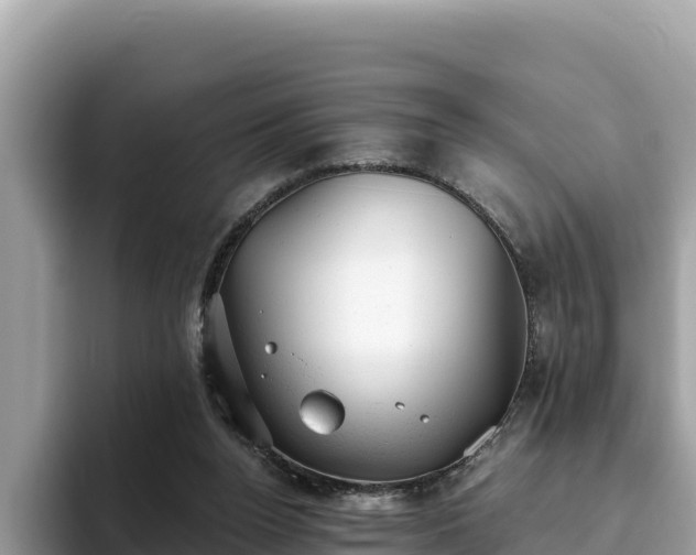X0000093420160200710191012