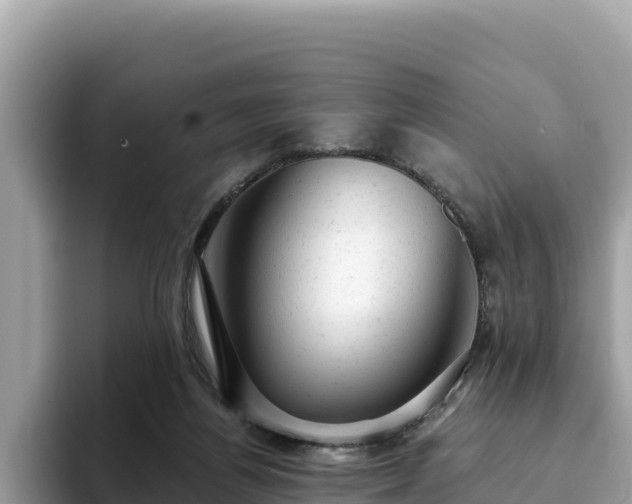 X0000093420164200710191012