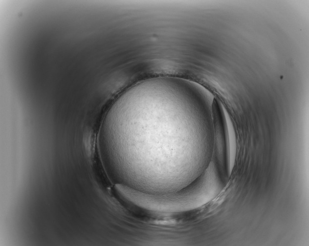 X0000093420168200710191013