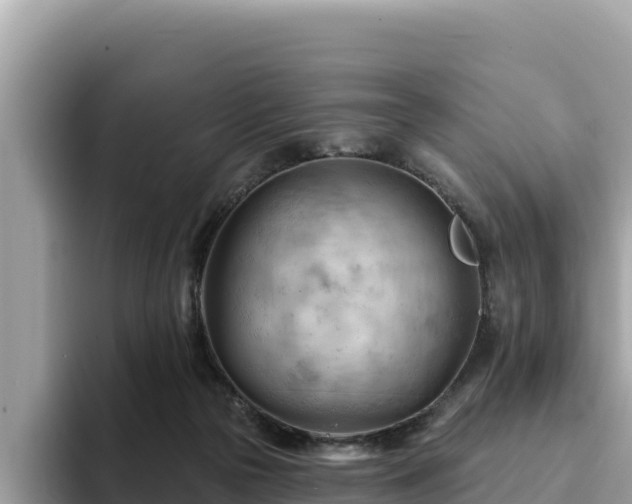 X0000093420169200710191013