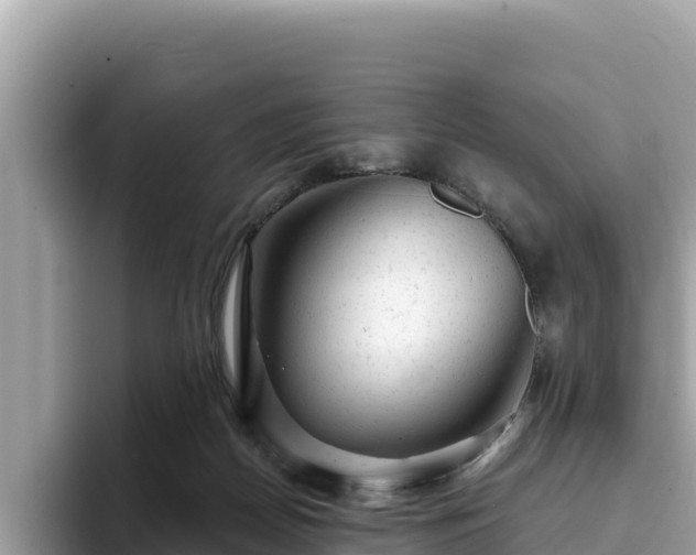 X0000093420170200710191013