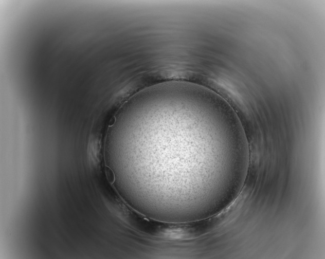 X0000093420171200710191013