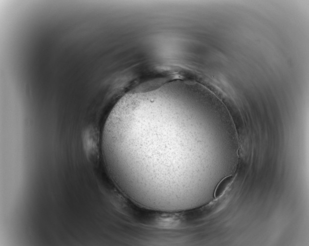 X0000093420175200710191013