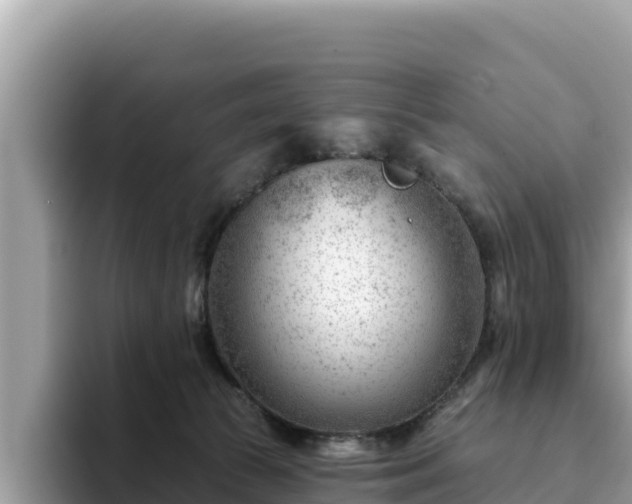 X0000093420177200710191013